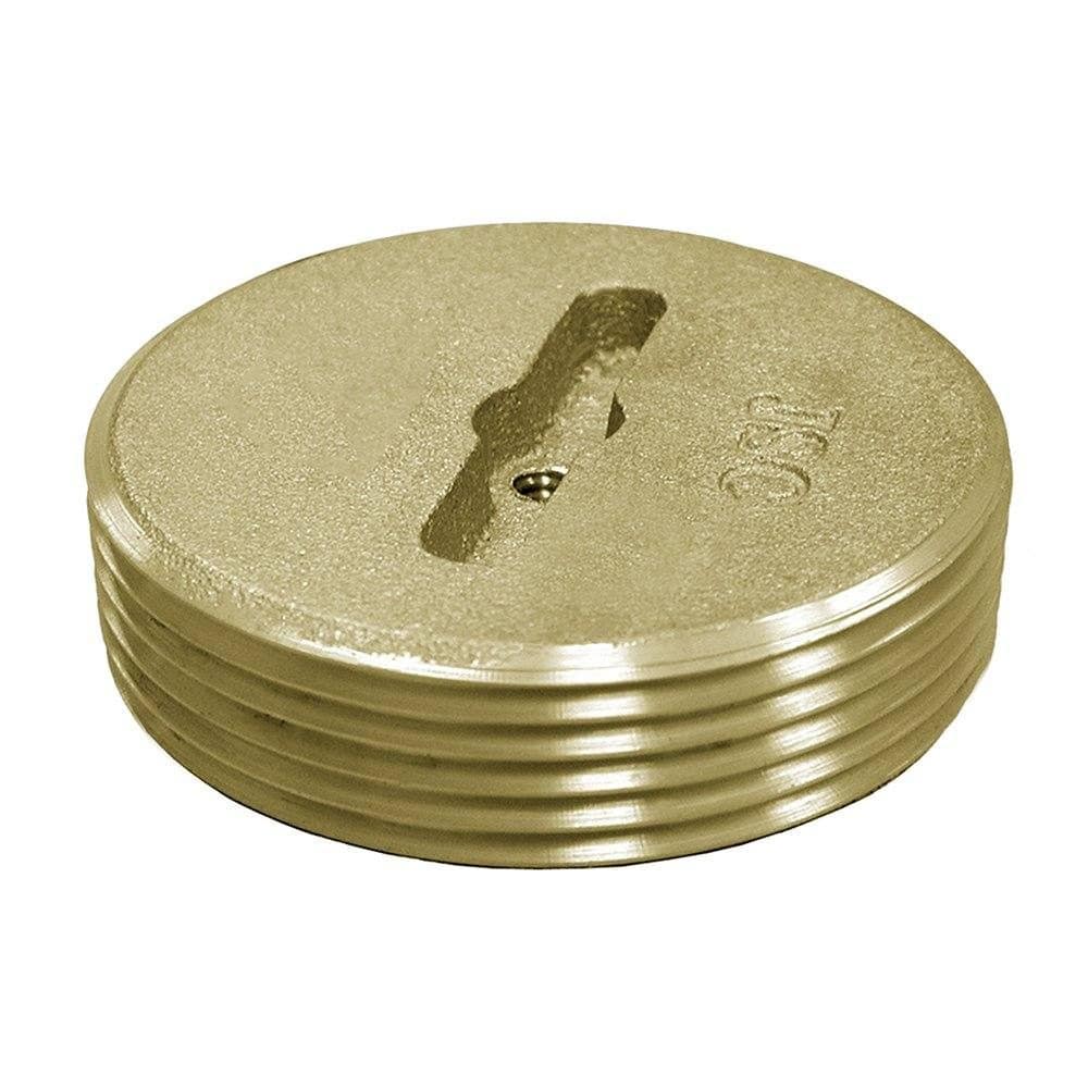 2" Slotted Brass Plug with 1/4" Tap